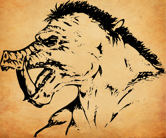 nottheorcs.png
